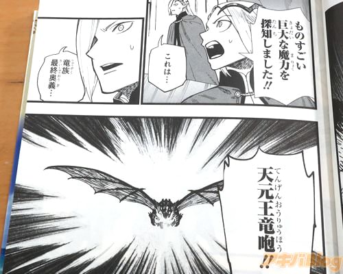「天元王竜咆!」