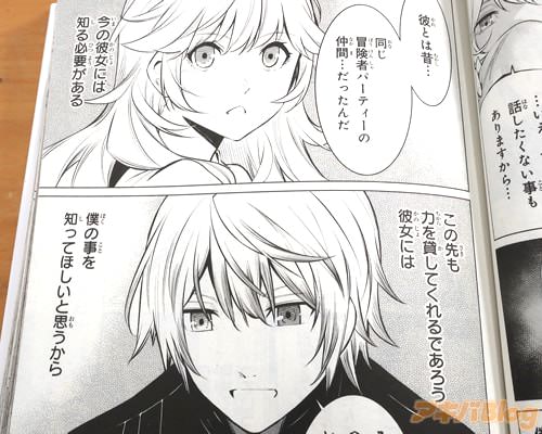 「同じ冒険者パーティーの仲間…だったんだ」