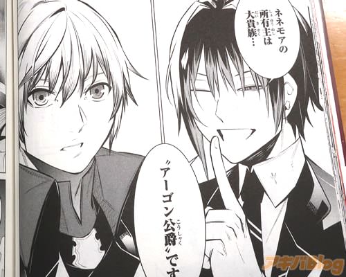 「ネネモアの所有主は大貴族…」