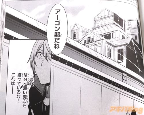 「(濃い魔力を纏っているな…)」