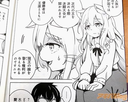 「現王の娘を娶る権利が与えられるのですニャ」