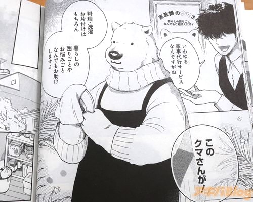 「いわゆる家事代行サービスなんですがね」