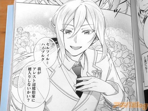 「我がアレスト辺境伯家に婿入りしないかい?」