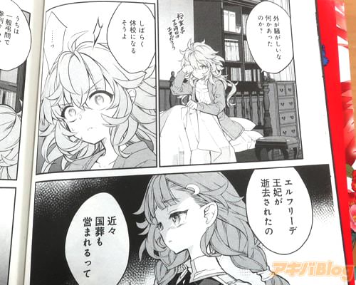 �֥���ե꡼�ǲ��ޤ��µ�줿��