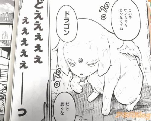 �֥ɥ饴�󡢤��Ȼפ��ʡ�