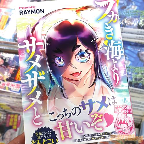 RAYMON��̡��֥ե�������ꥵ�᥶��ȡ�