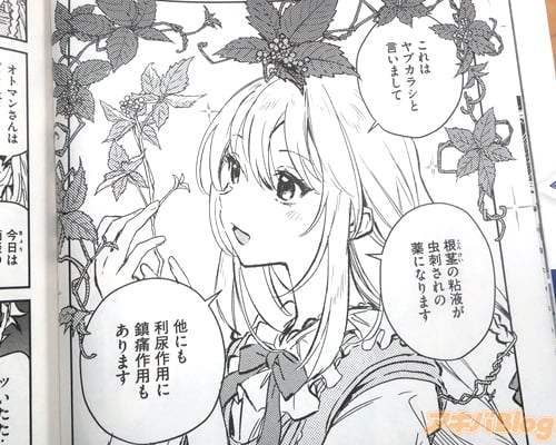 �֤���ϥ�֥��饷�ȸ����ޤ��ơ�