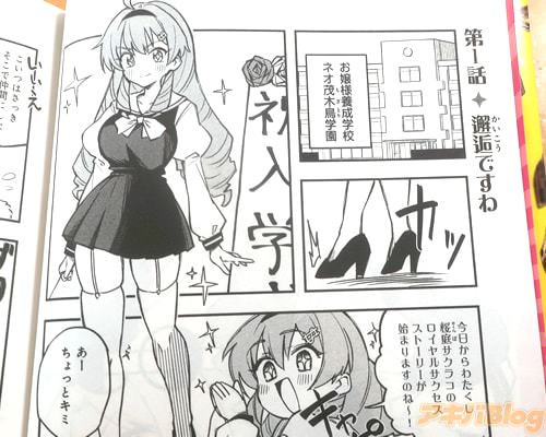 �֤錄�����Υ�����륵���������ȡ��꡼���Ϥޤ�ޤ��Τ͡�����