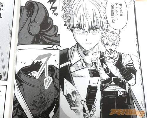 「元帝国騎士だ」