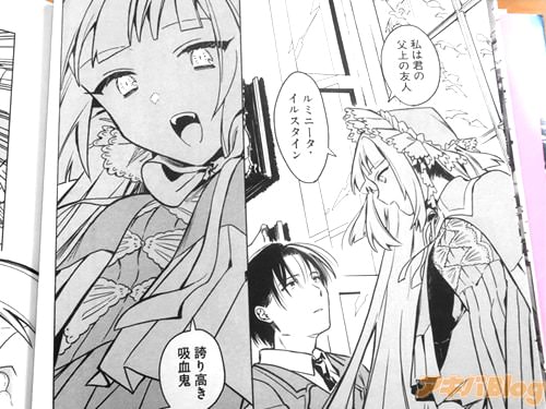「私は君の父上の友人、ルミニータ・イルスタイン」