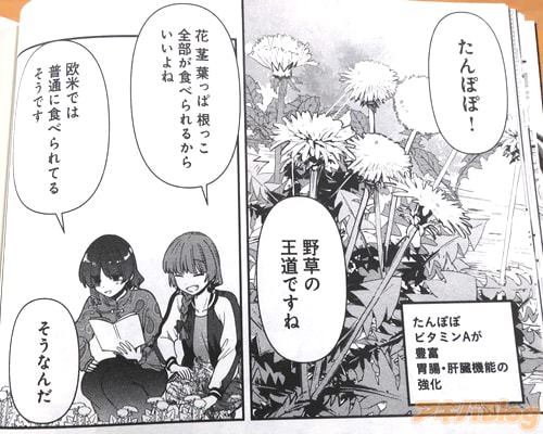 �����������٤��뤫�餤����͡�