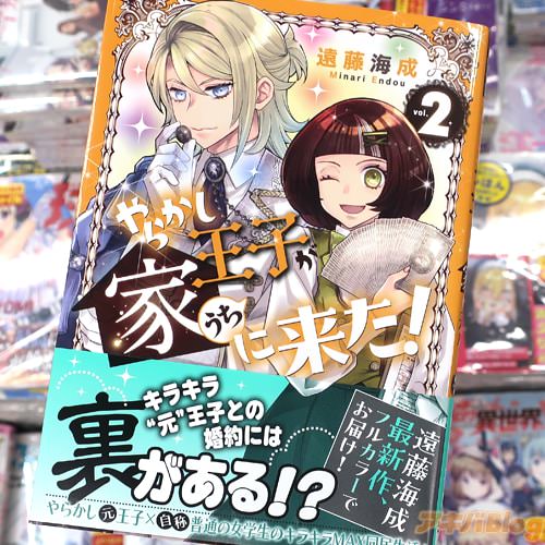 遠藤海成の漫画「やらかし王子が家に来た!」2巻
