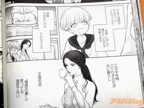 「(“理想の妻”と言っても過言ではない)」