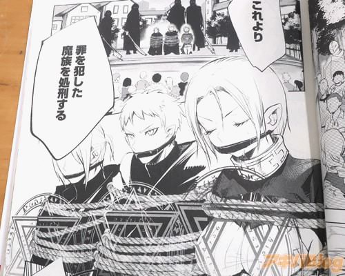 「罪を犯した魔族を処刑する」
