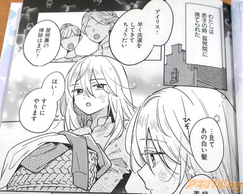 「(わたしは赤子の時、孤児院に捨てられた)」