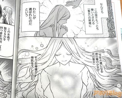「(聖女の候補に、わたしが選ばれたのだという)」