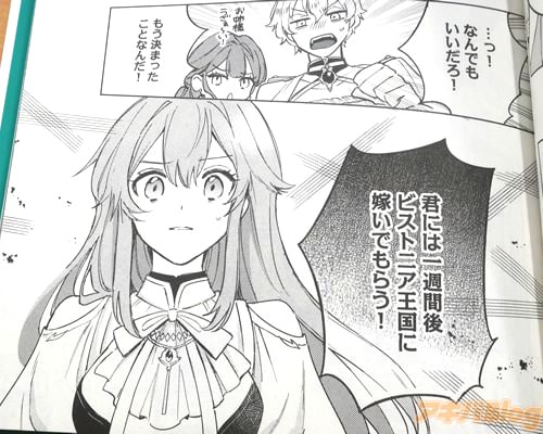 「ビストニア王国に嫁いでもらう!」