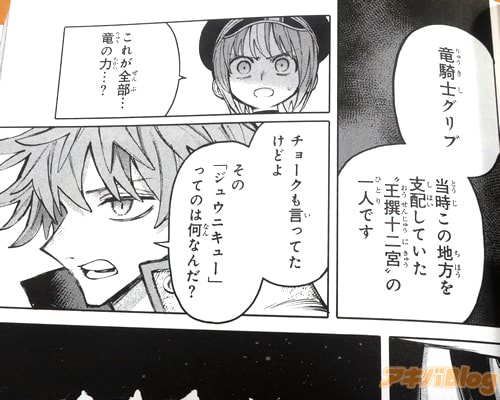 「竜騎士グリブ、当時この地方を支配していた王撰十二宮の一人です」