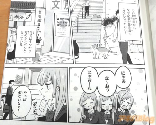 �֡ʵ���Į��ǭ��Į�Ȥ���������Ϥ᤿�Τϡ��䤬3�Фκ��ˡ�