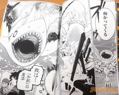 「我は…氷鮫の魔法」