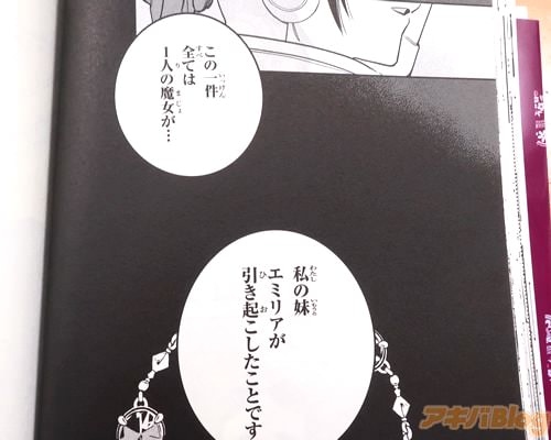 「全ては1人の魔女が…私の妹が引き起こしたこと」