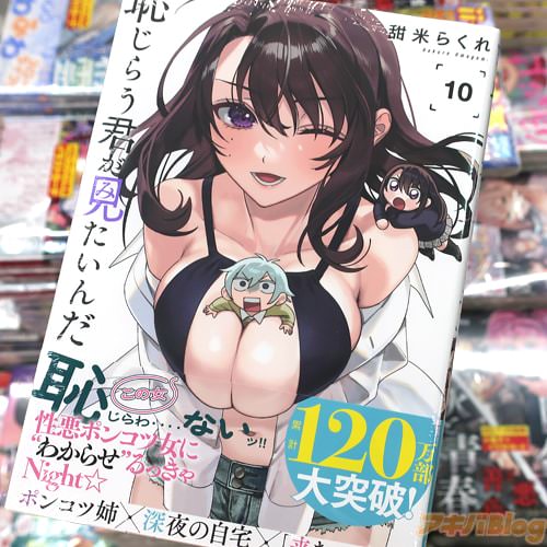甜米らくれの漫画「恥じらう君が見たいんだ」10巻