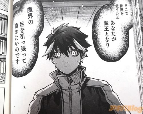 「魔界の足を引っ張って頂きたいのです」