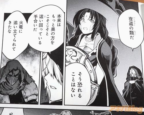 「夜盗(バーグラー)の類だ」