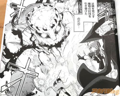 「(近隣を荒らす魔物の討伐を引き受けた、のだが…)」