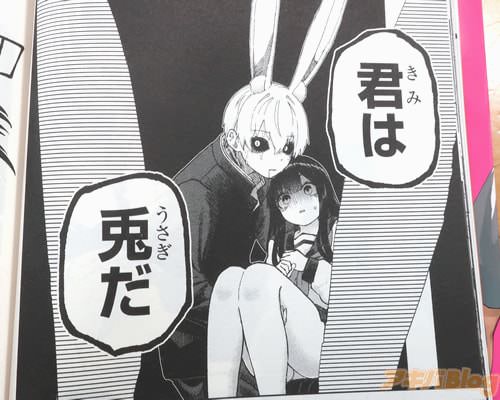 「君は兎だ」