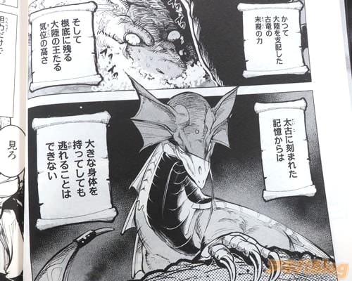 「(これが竜だ。かつて大陸を支配した古竜の末裔の力)」