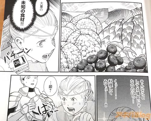 「大量の、未知の食材」
