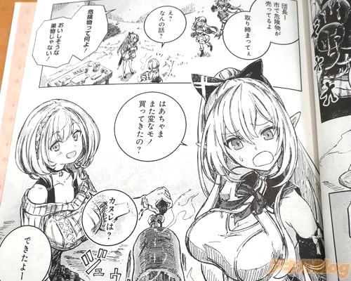 「また変なモノ買ってきたの」
