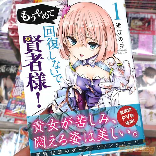 近江のこの漫画「もうやめて回復しないで賢者様!」1巻