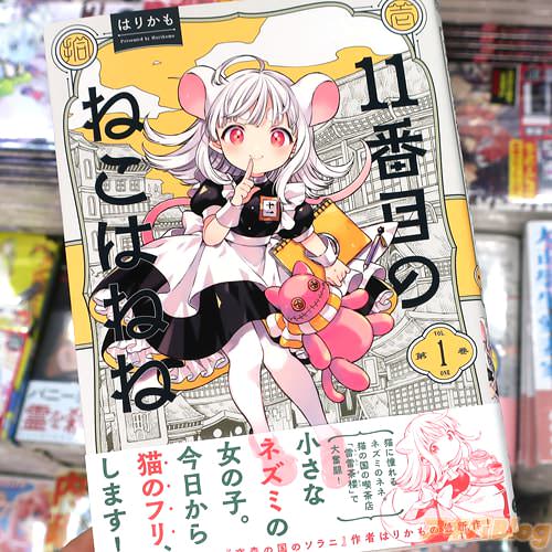 �Ϥ꤫���̡���11���ܤΤͤ��Ϥͤ͡�1��