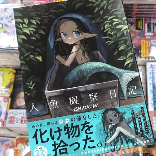 ISHIDA UMIの漫画「人魚観察日記」