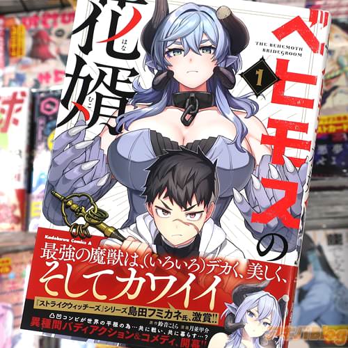 ����벻���Ȥ��̡�衧���¹ò��̡��֥٥ҥ⥹�β�̻��1��