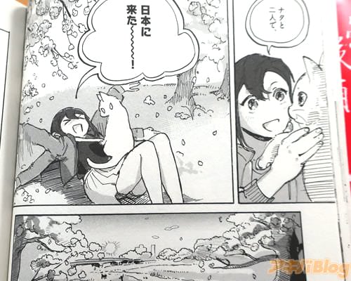 �����ܤ��褿����