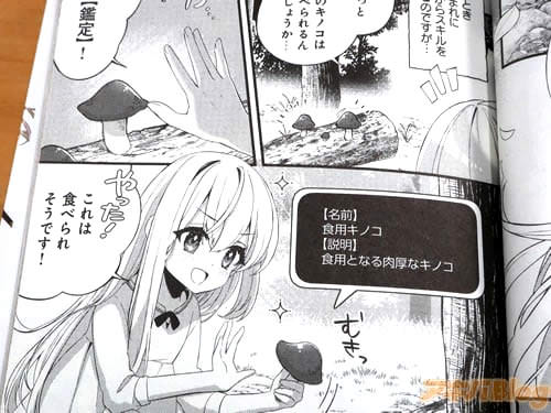 �֡ʡڴ���ۤȡڼ�Ǽ�ۤΥ��������ä��ΤǤ��ˡ�