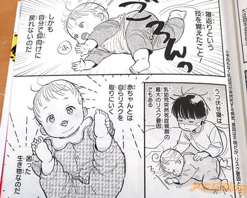 �֡��֤����ȤϺ��ä�����ʪ�ʤΤ��ˡ�