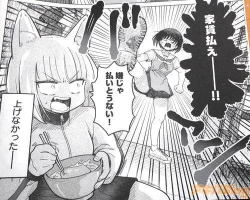 �ֲ���ʧ������