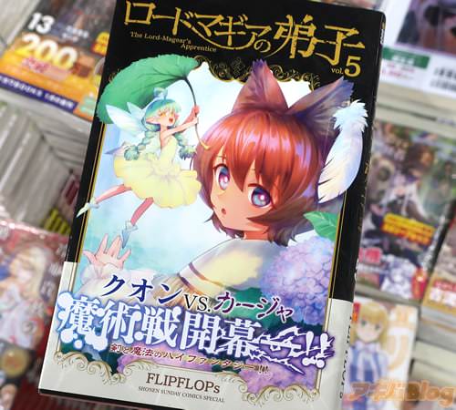 FLIPFLOPs��̡��֥����ɥޥ�������ҡ�5��