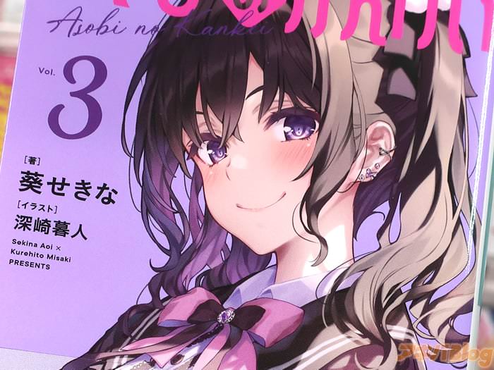 轻小说 あそびのかんけい３巻 「絶対に負けられないボドゲ勝負が幕を開ける！」
