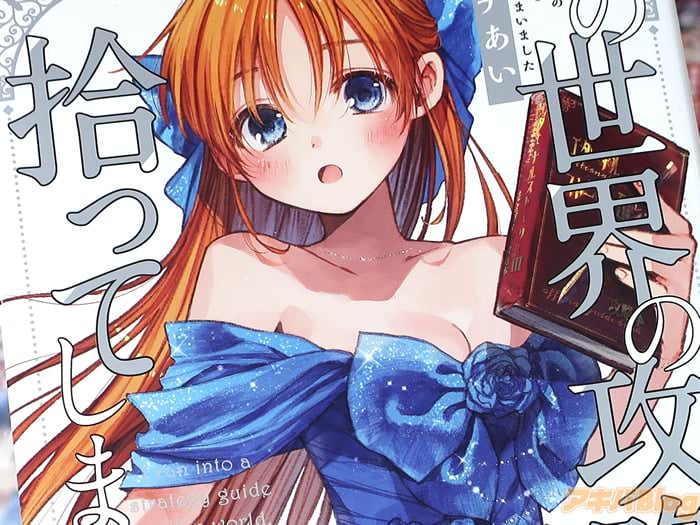 この世界の攻略本を拾ってしまいました第３卷 「勇者×ただの道具屋×王子」