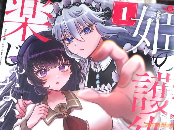 漫画版 姫の護衛は楽じゃない１巻 「財閥のお嬢様を女装メイドで守りぬけ！」